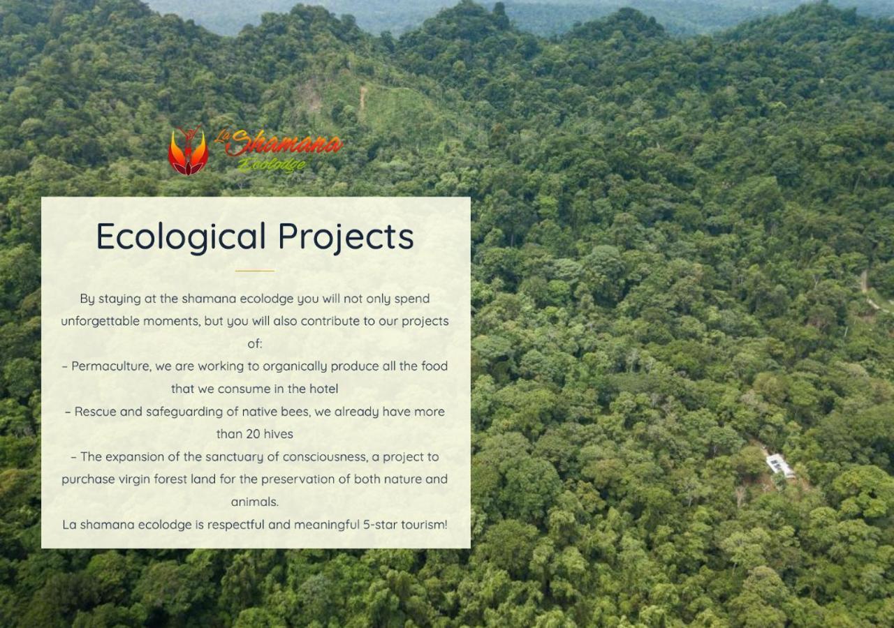 Вилла La Shamana - Ecological Concept In Jungle Кауита Экстерьер фото