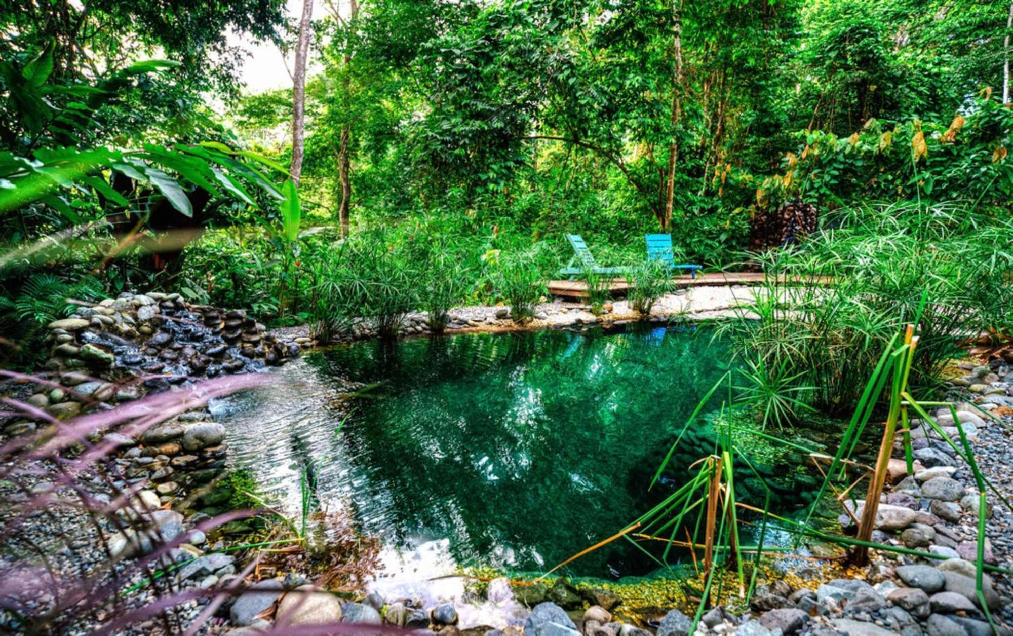 Вилла La Shamana - Ecological Concept In Jungle Кауита Экстерьер фото