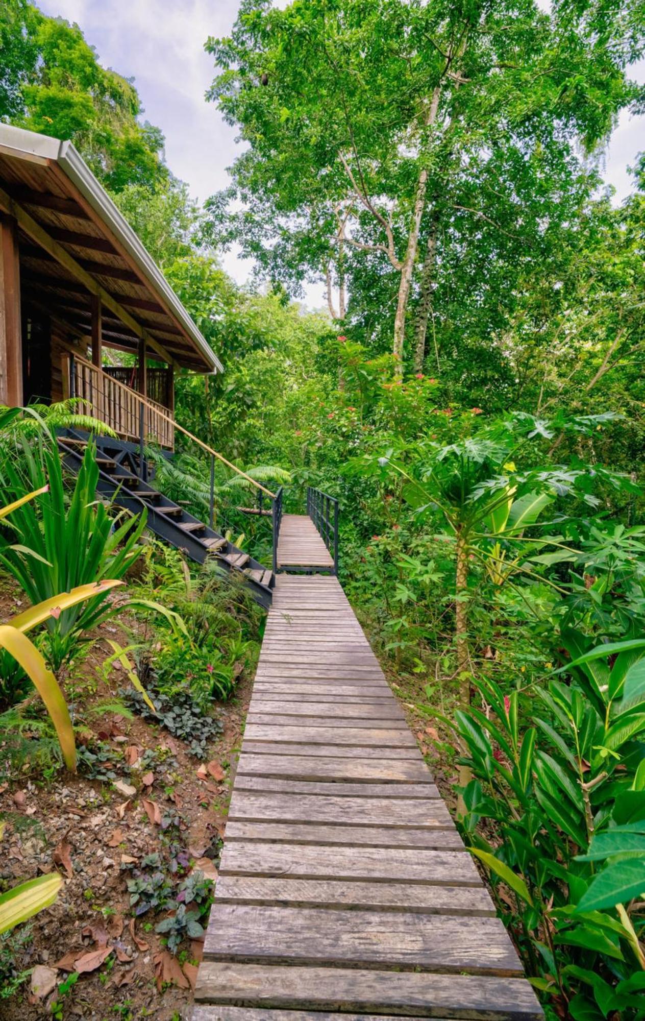 Вилла La Shamana - Ecological Concept In Jungle Кауита Экстерьер фото