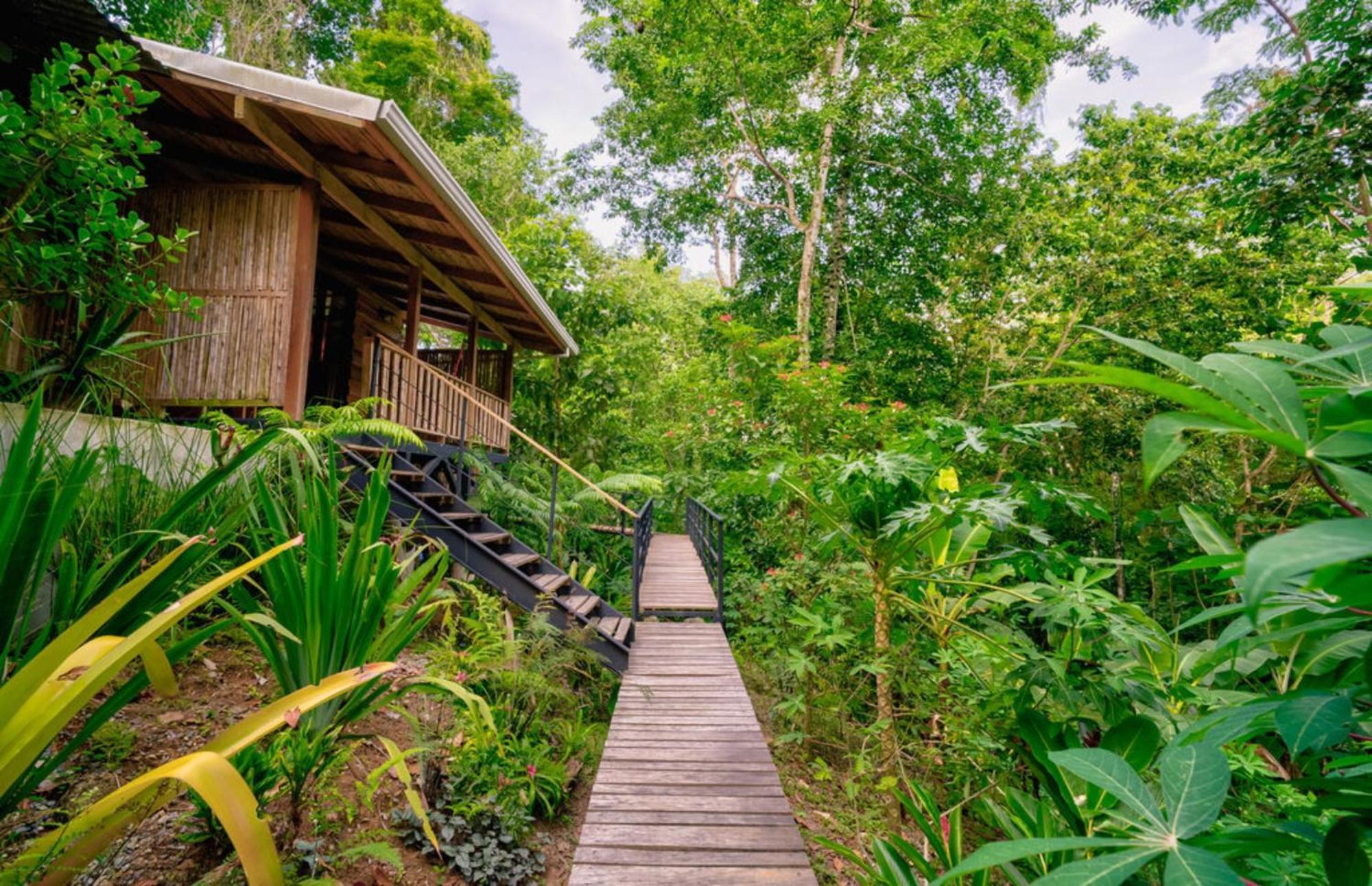 Вилла La Shamana - Ecological Concept In Jungle Кауита Номер фото