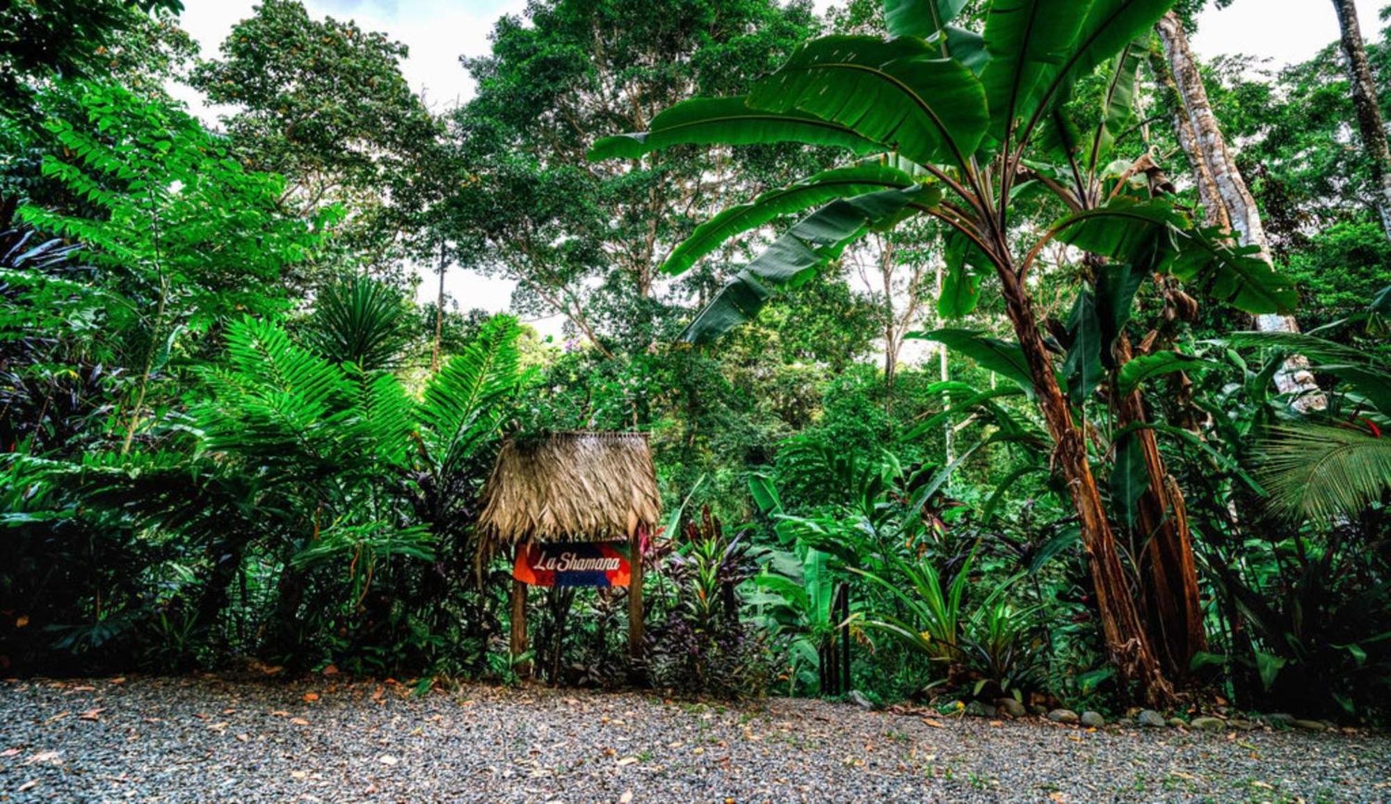 Вилла La Shamana - Ecological Concept In Jungle Кауита Экстерьер фото