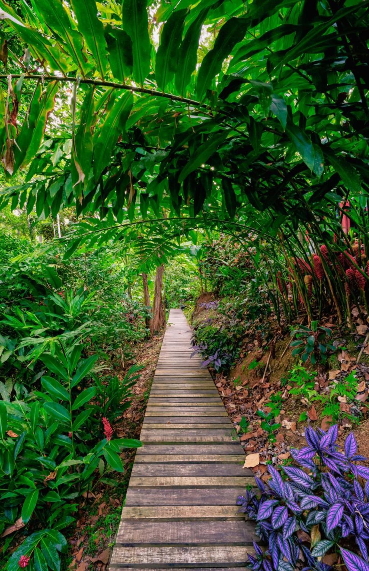 Вилла La Shamana - Ecological Concept In Jungle Кауита Экстерьер фото