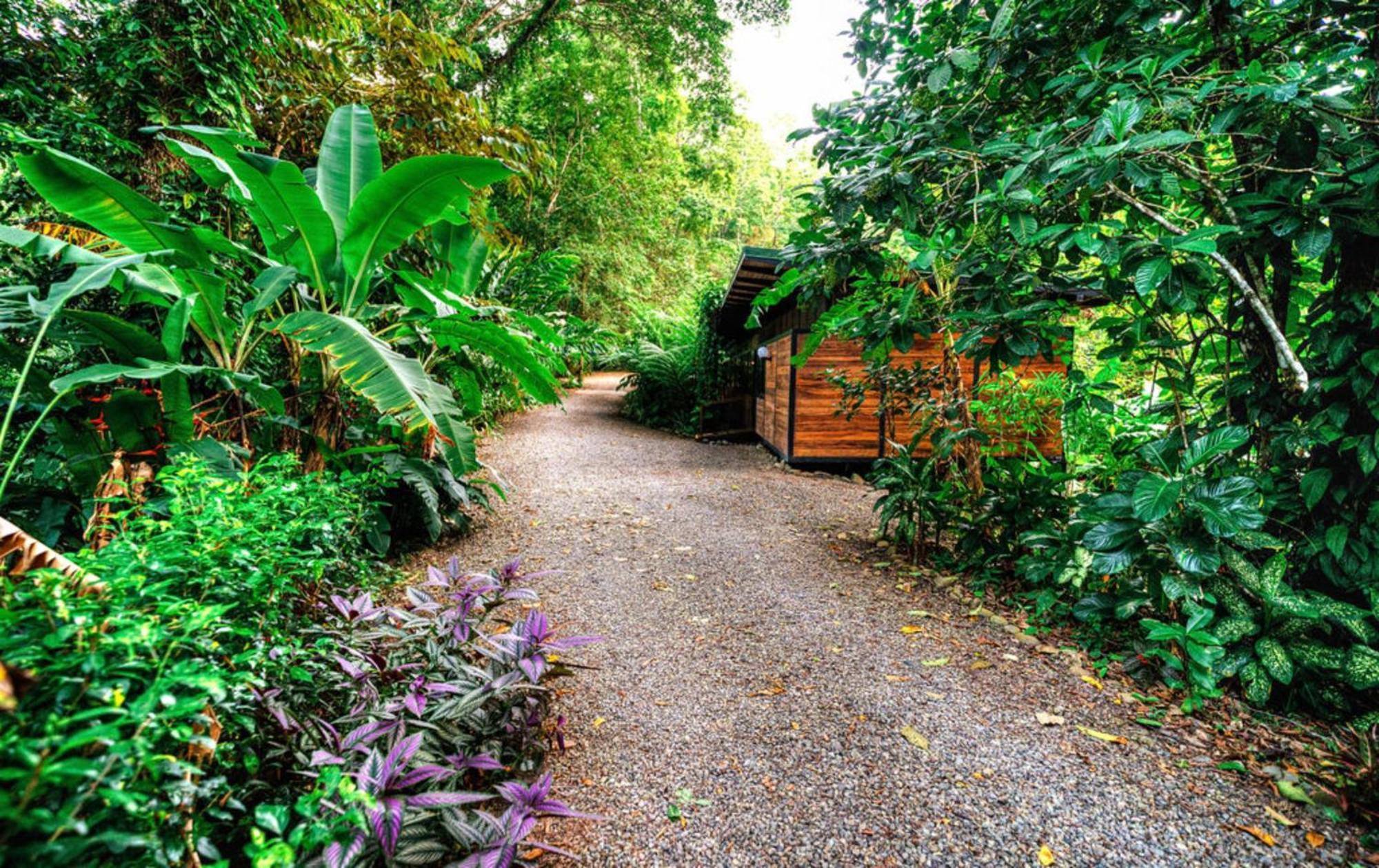 Вилла La Shamana - Ecological Concept In Jungle Кауита Экстерьер фото