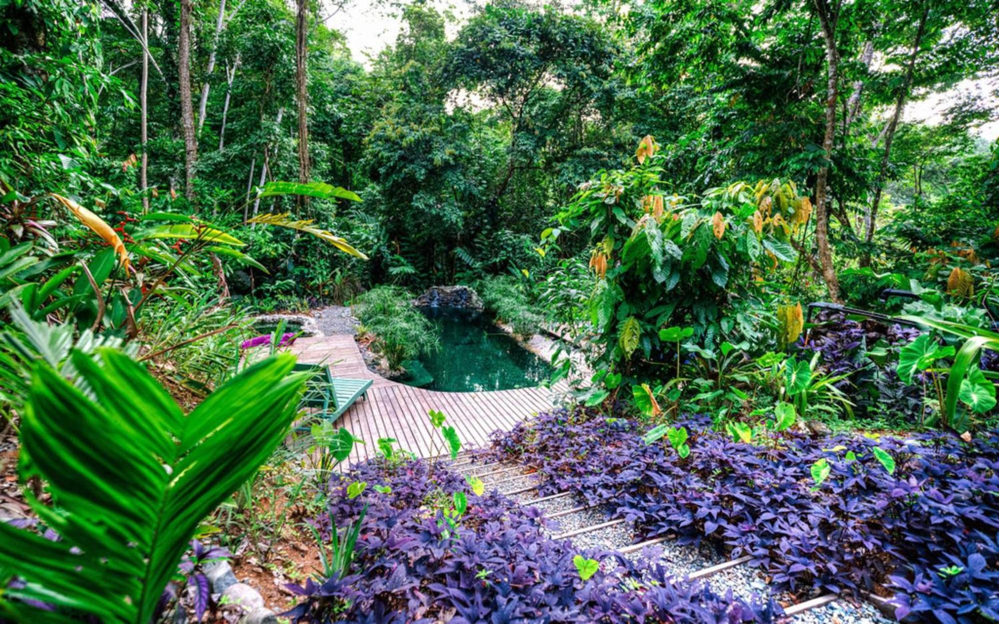 Вилла La Shamana - Ecological Concept In Jungle Кауита Экстерьер фото