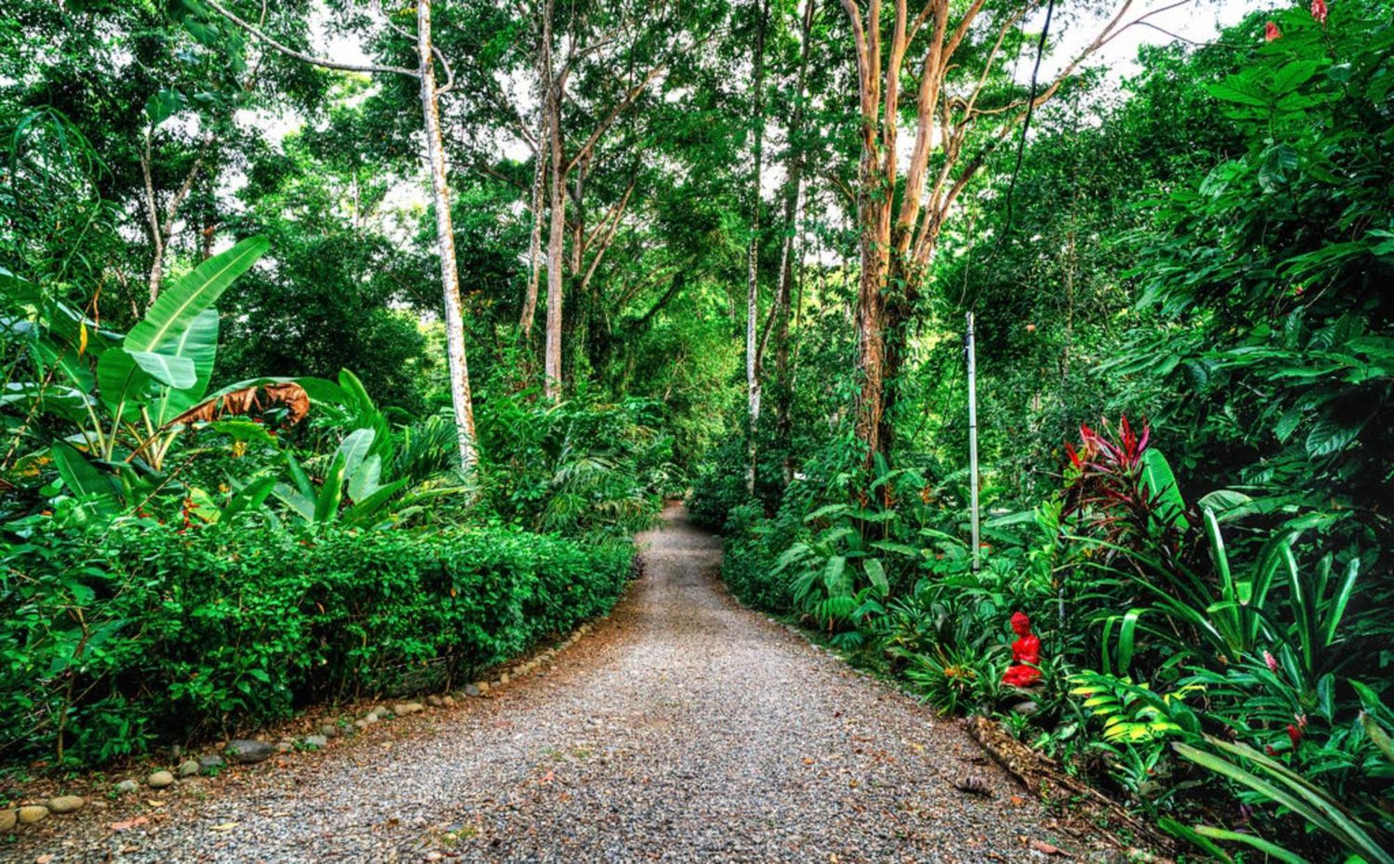 Вилла La Shamana - Ecological Concept In Jungle Кауита Экстерьер фото