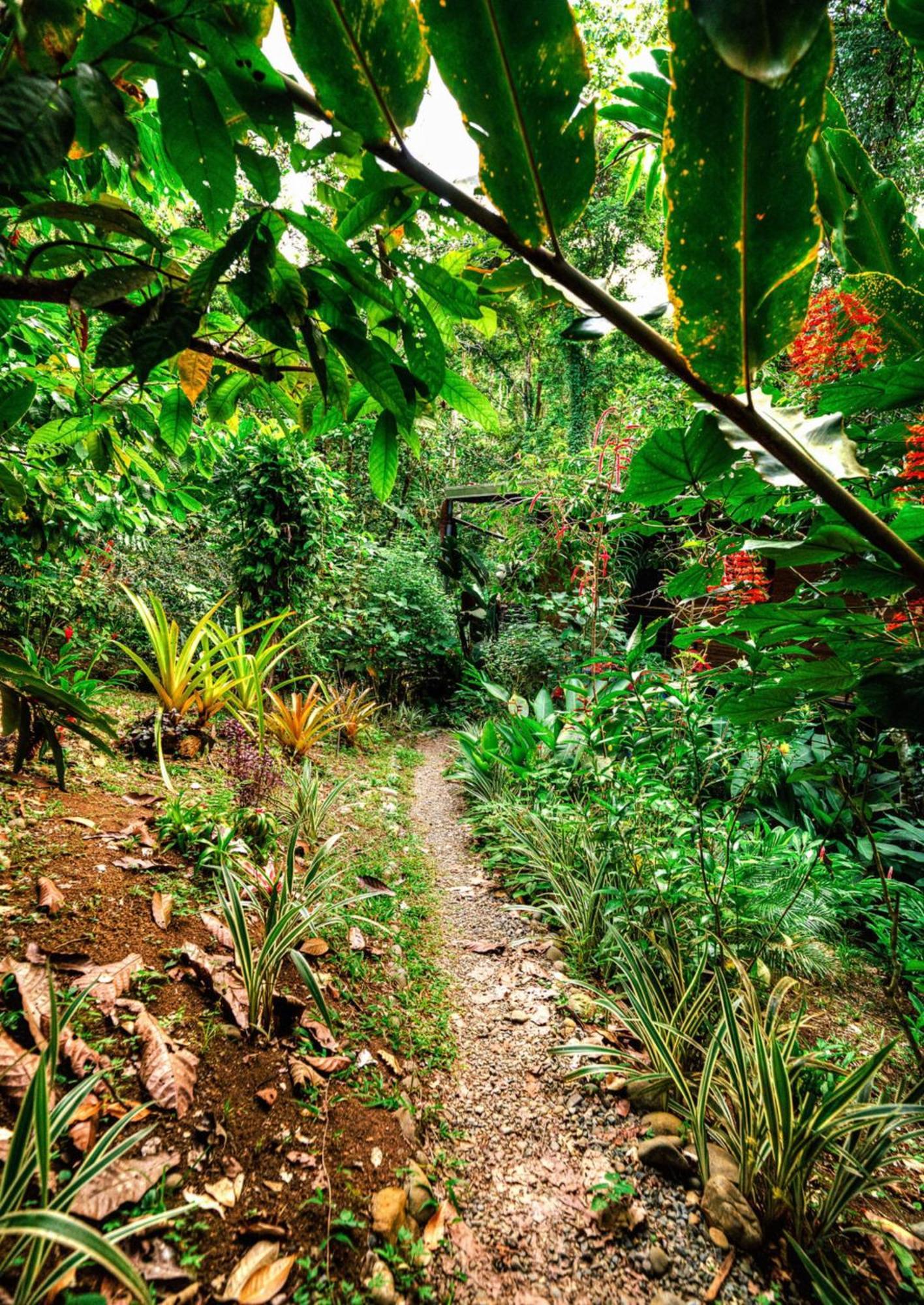 Вилла La Shamana - Ecological Concept In Jungle Кауита Экстерьер фото