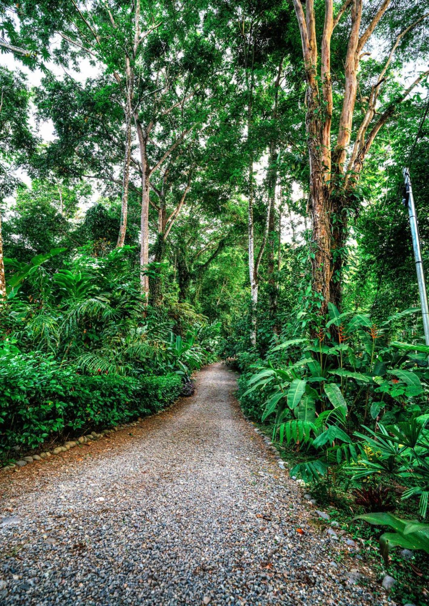 Вилла La Shamana - Ecological Concept In Jungle Кауита Экстерьер фото